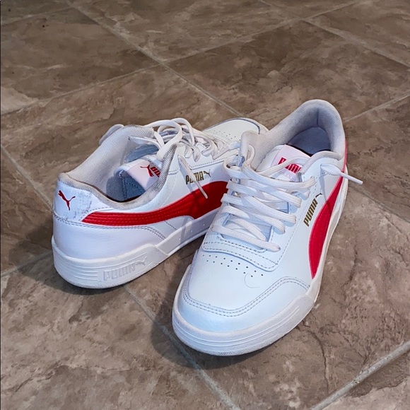 Pumas - Picture 3 of 3